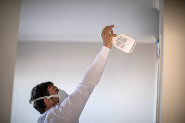 Best Residential Mold Removal  in Gilroy, CA