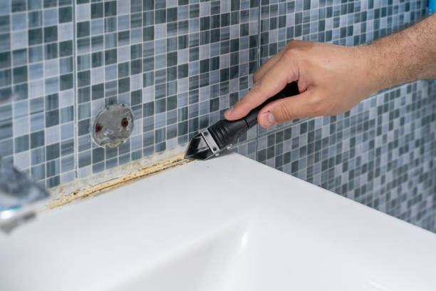 Best Toxic Mold Removal  in Gilroy, CA