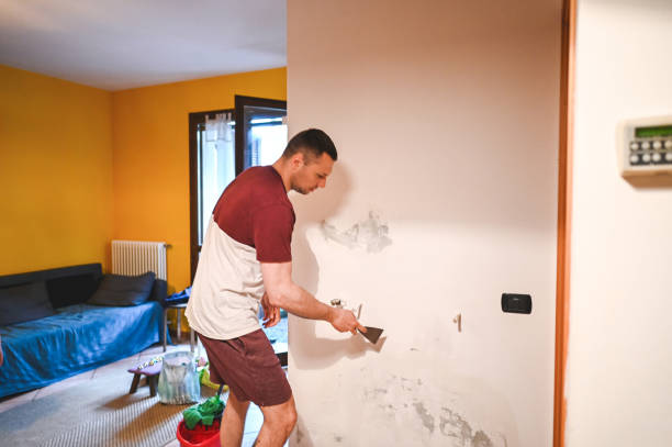 Best Attic Mold Removal  in Gilroy, CA