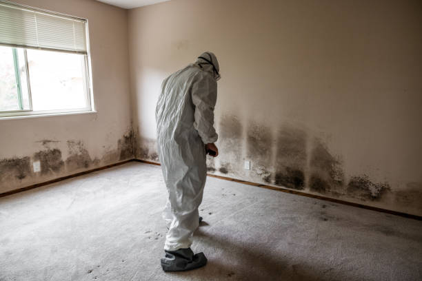 Best Mold Testing  in Gilroy, CA